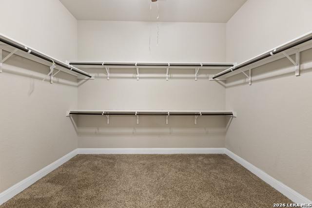 26903 Lavender Arbor Property Photo 10