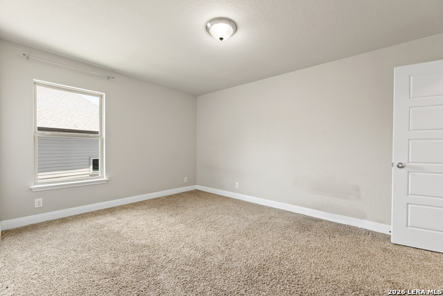 26903 Lavender Arbor Property Photo 17