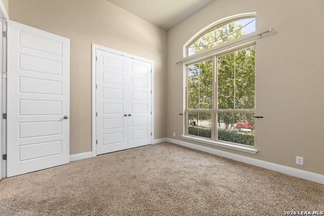26903 Lavender Arbor Property Photo 46