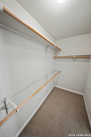 8403 Rita Blanca St Property Photo 28