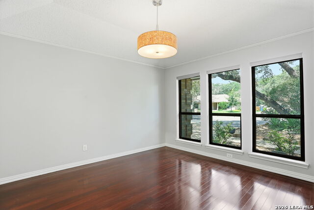 14810 Canonero St Property Photo 16