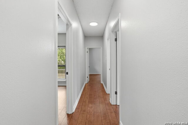 14810 Canonero St Property Photo 29