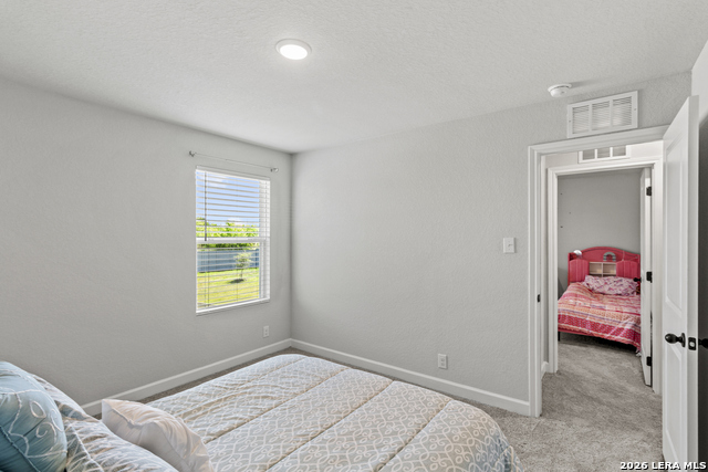 9905 Paseo Post Pl. Property Photo 27