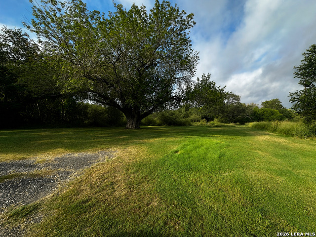 208 S Dickson Property Photo 1