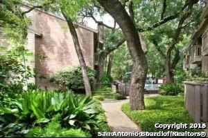 2935 Nacogdoches Rd Property Photo 1