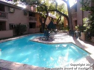 2935 Nacogdoches Rd Property Photo 2