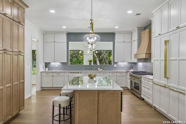 203 Durand Oak Property Photo 14