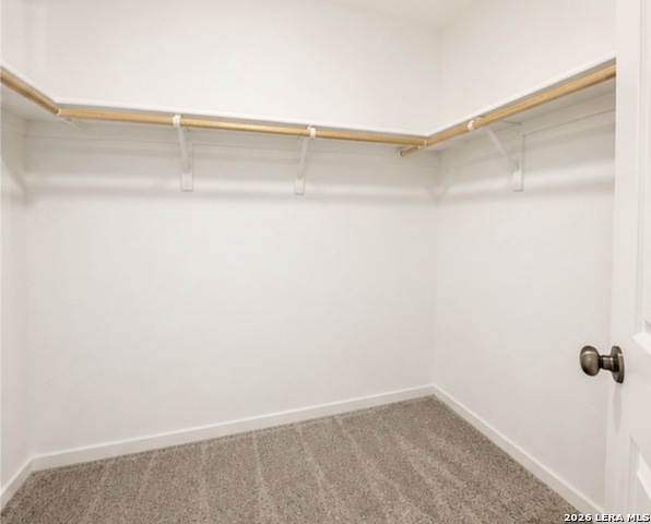 7507 Adam Star Property Photo 11