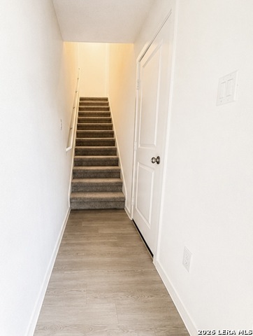 7507 Adam Star Property Photo 12