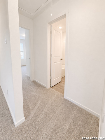 7507 Adam Star Property Photo 14
