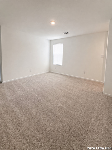 7507 Adam Star Property Photo 16