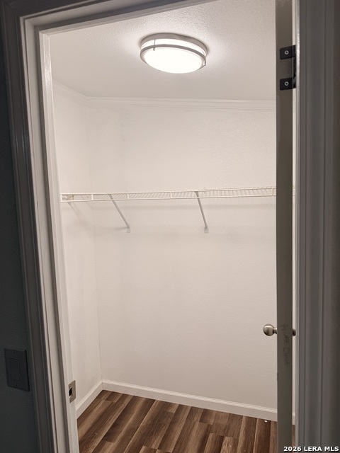 13835 Owl Tree St Property Photo 11