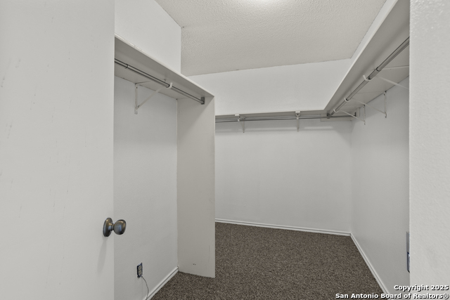 10138 Sandbrook Hill Property Photo 30
