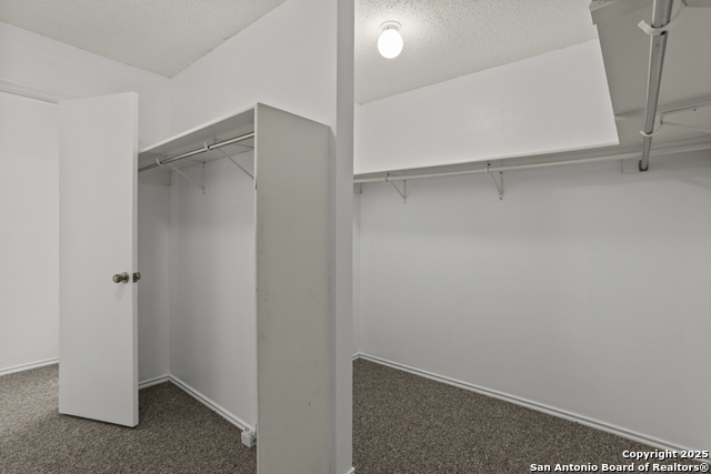 10138 Sandbrook Hill Property Photo 31