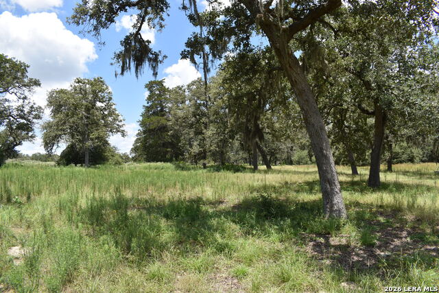 Tbd Cr 444 Property Photo 1