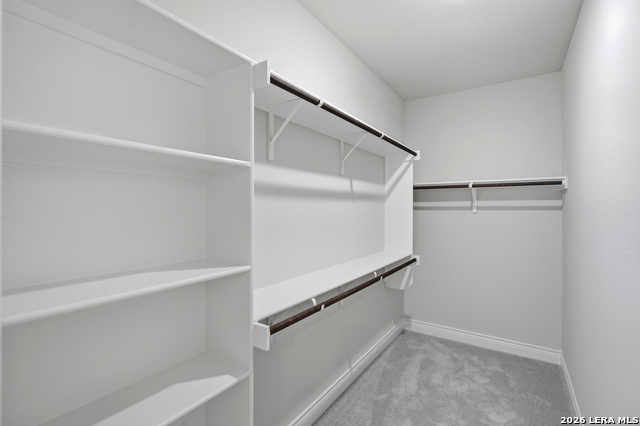 12412 Dime Box Property Photo 17