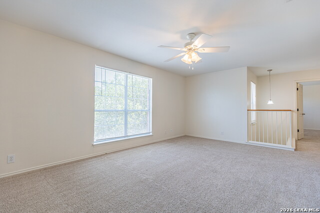 5331 Lost Tree Property Photo 20