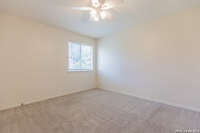 5331 Lost Tree Property Photo 31