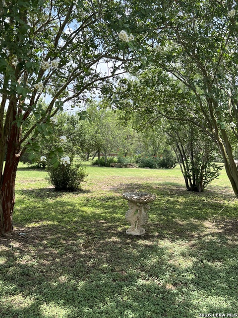 444 County Road 4770 Property Photo 6