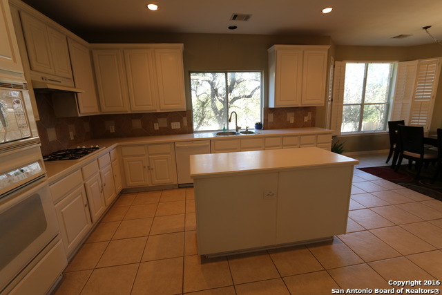 21010 Wild Springs Dr Property Photo 13