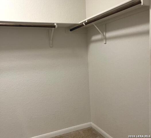 2118 Silver Maple Property Photo 4