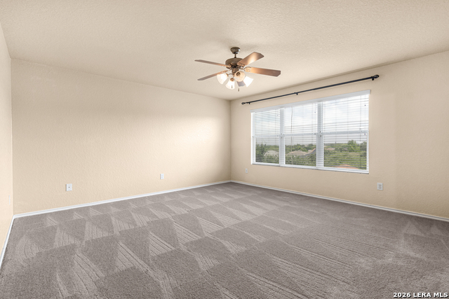 5336 Cilantro Pl Property Photo 18