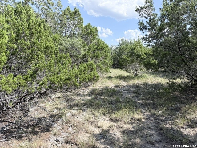 4045 Fire Candle Property Photo 29