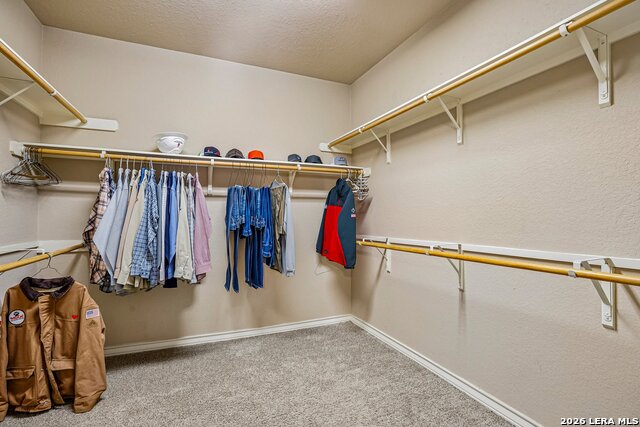 108 Medora Branch Property Photo 28