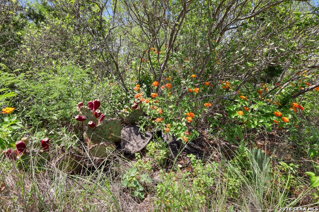 1014 N-bar Ranch Rd Property Photo 8