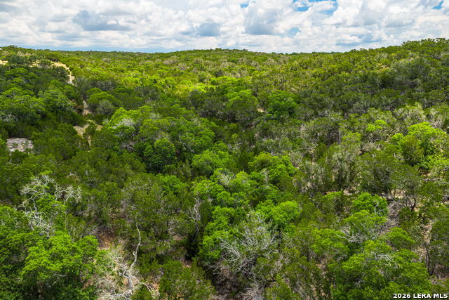 1468 Vanguard Ridge Rd Property Photo 16