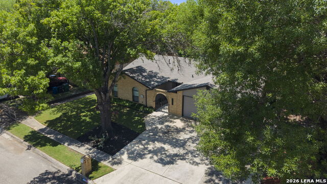 8603 Bristlecone Property Photo 23