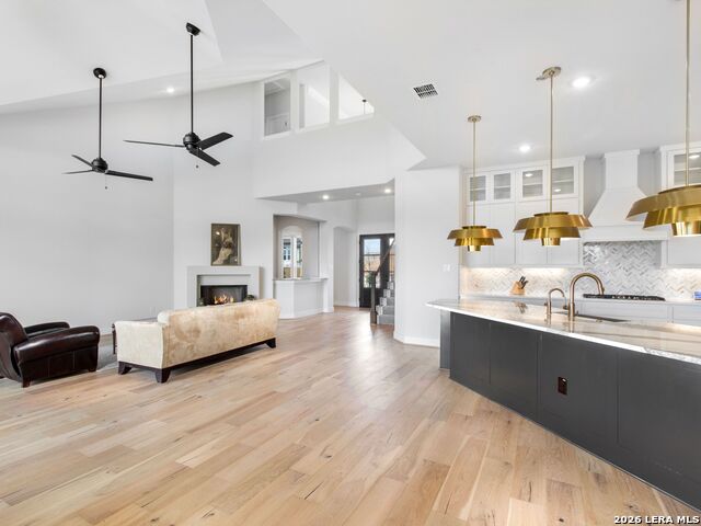 20207 Bella Sky Property Photo 5