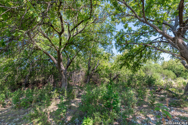 2005671 Property Photo 12