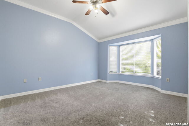 6915 Raintree Frst Property Photo 20