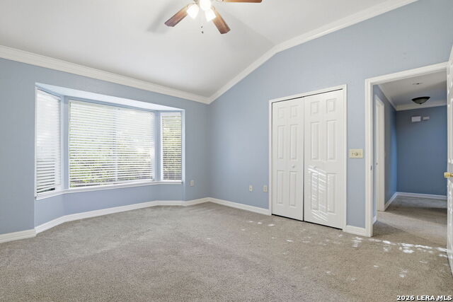 6915 Raintree Frst Property Photo 21