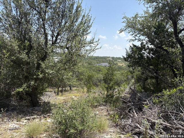 564 (LOT 2000) Rock Trail Place Property Photo 1