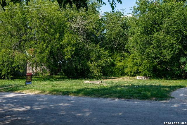 220 Muncey Property Photo 4