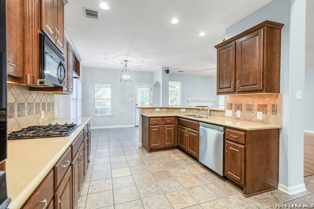 9116 Perdernales Rio Property Photo 6