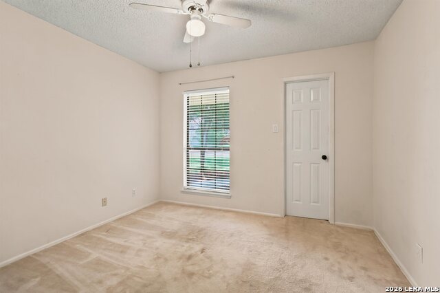 8915 Brightwater St Property Photo 17