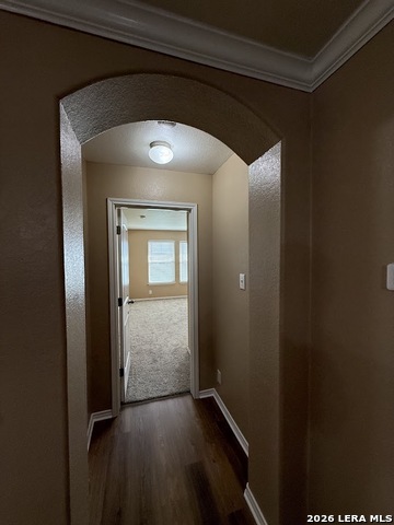 9946 Meadow Lark Property Photo 19