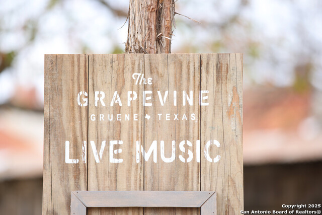 1059 Lime Gruene Property Photo 48
