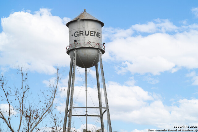 1059 Lime Gruene Property Photo 49
