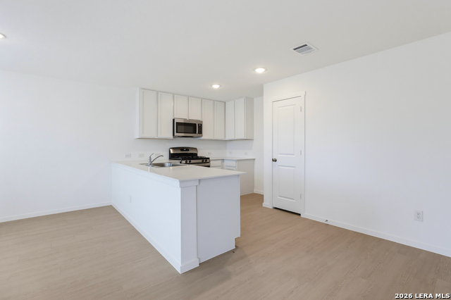 11327 Evergreen Rose Property Photo 6