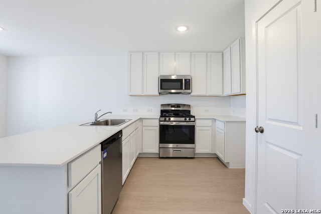11327 Evergreen Rose Property Photo 7