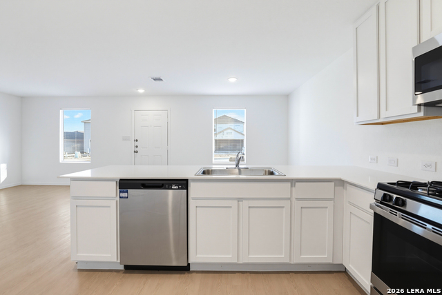 11327 Evergreen Rose Property Photo 8