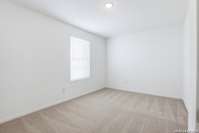 11327 Evergreen Rose Property Photo 19