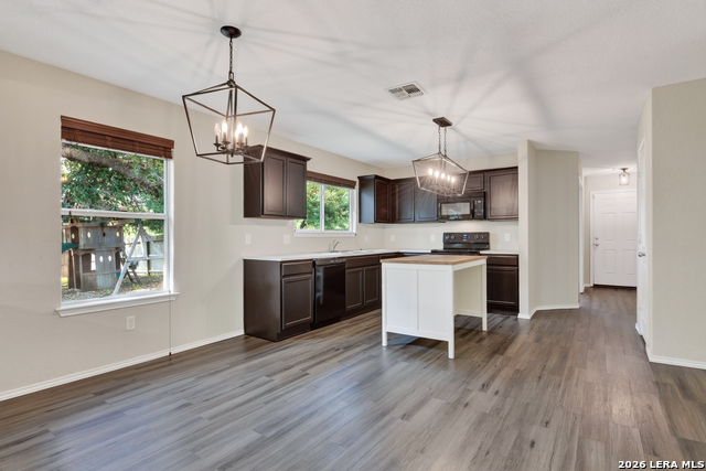16118 Caballo Run Property Photo 6