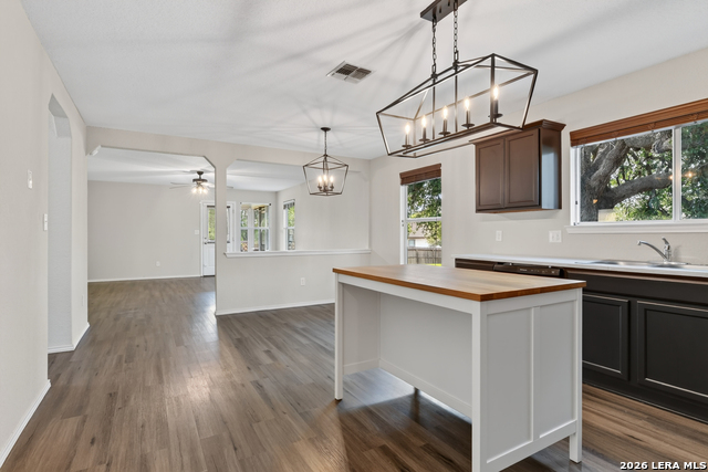 16118 Caballo Run Property Photo 8