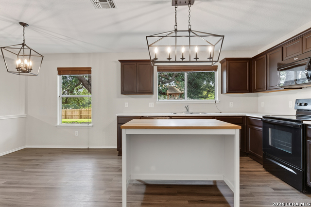 16118 Caballo Run Property Photo 9