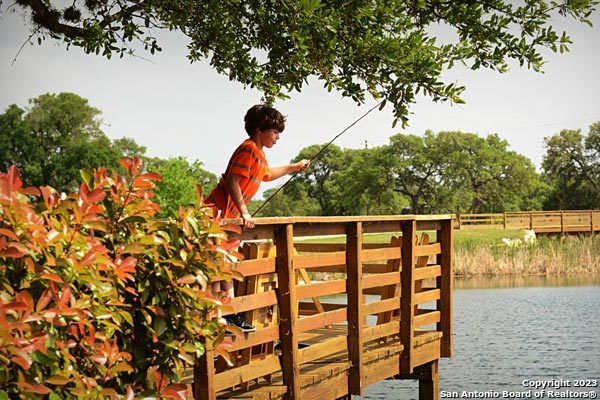 102 George Erath Property Photo 29